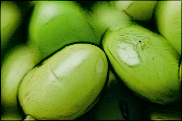 Veni, Vidi, Vegi - Sojabohnen